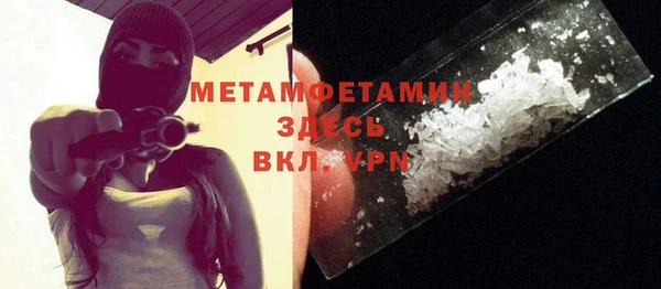 прущие грибы Елабуга
