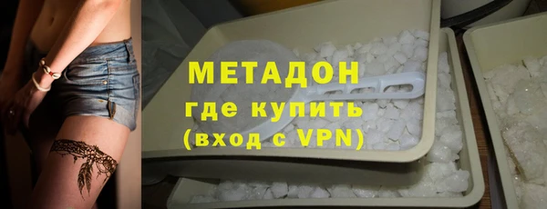 прущие грибы Елабуга