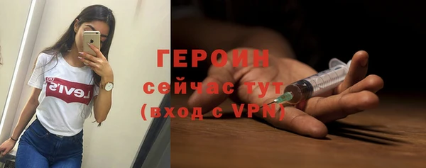 прущие грибы Елабуга