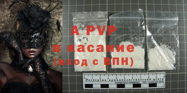 прущие грибы Елабуга