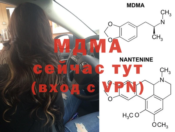 прущие грибы Елабуга