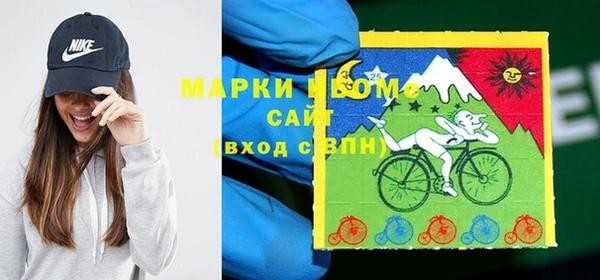 прущие грибы Елабуга