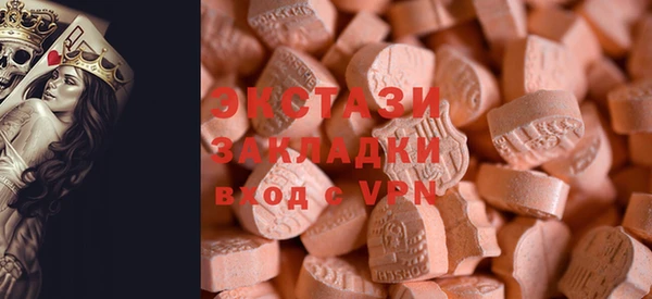 прущие грибы Елабуга